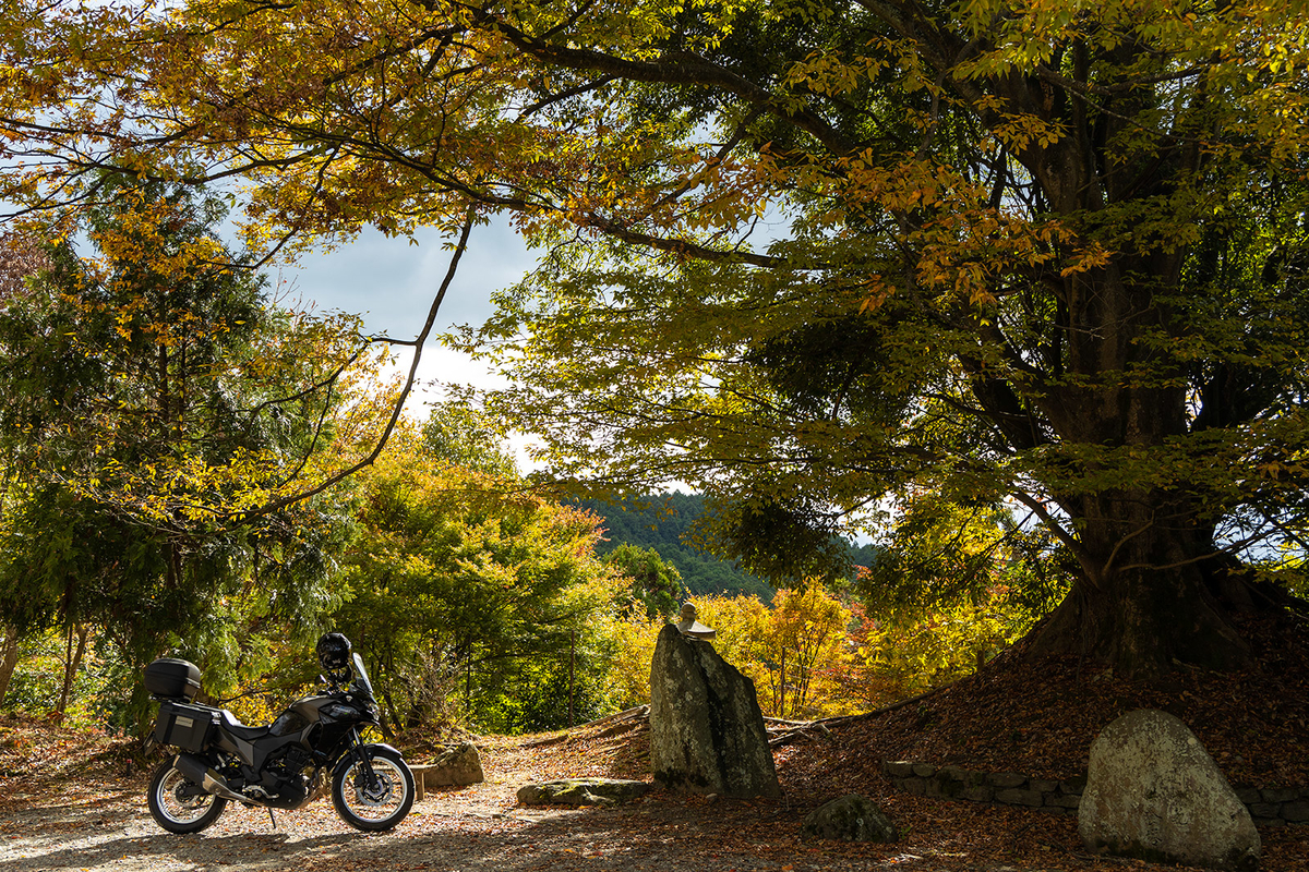 紅葉の吉野山