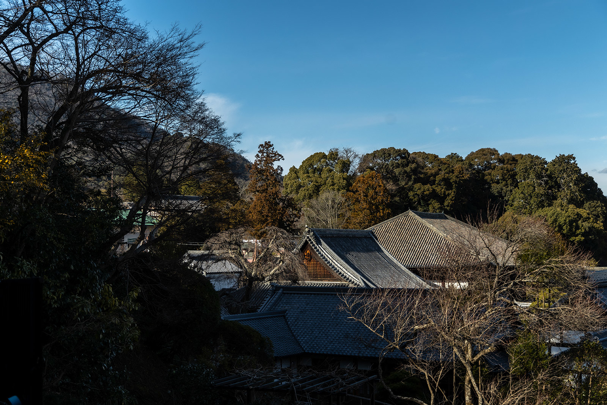 奈良県當麻寺
