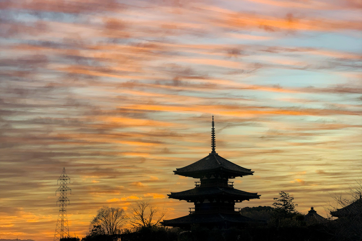 f:id:kumakumakoara:20220116200815j:plain