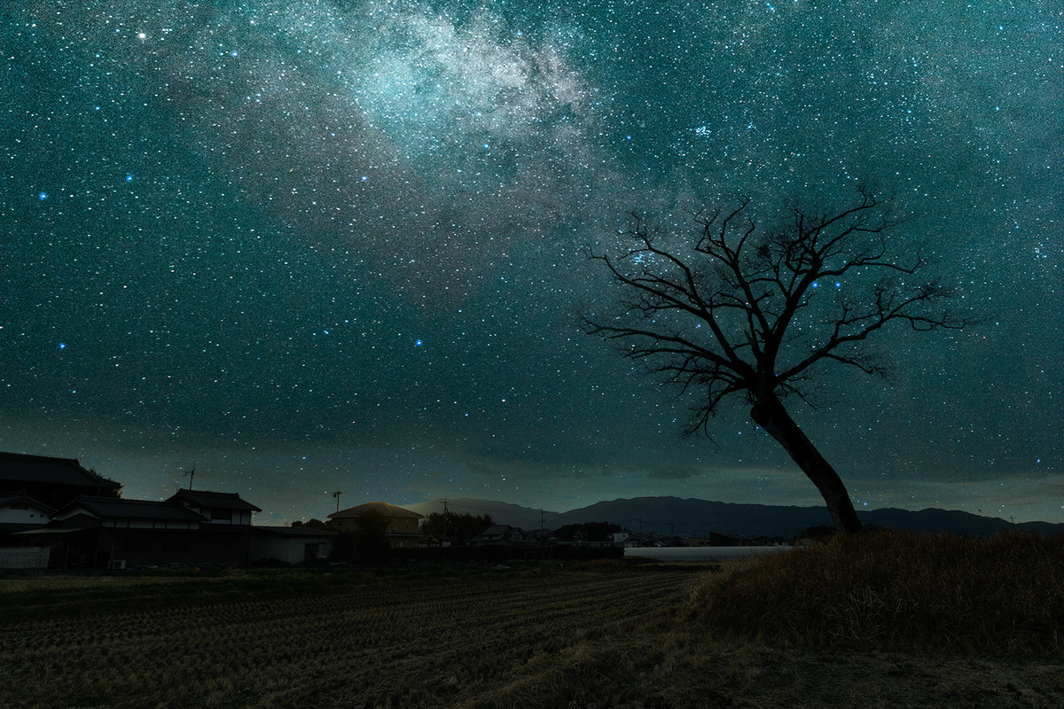 f:id:kumakumakoara:20220116200915j:plain