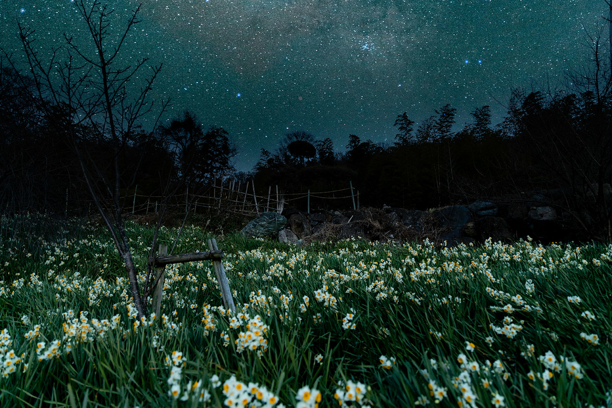 f:id:kumakumakoara:20220116201206j:plain