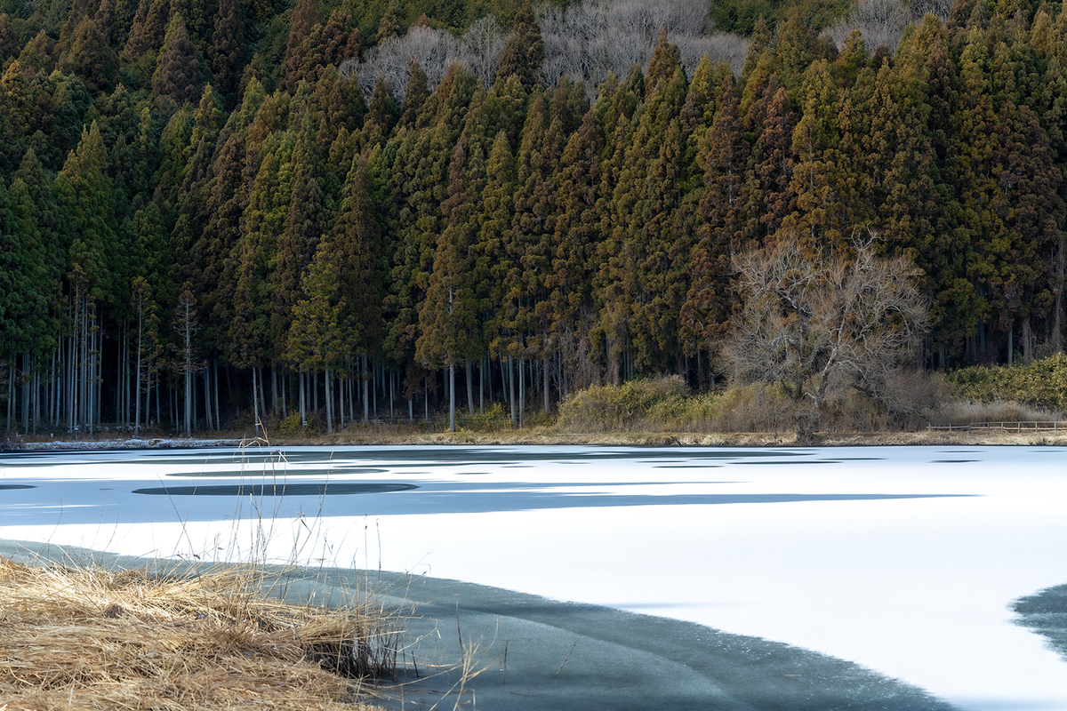 奈良県の絶景スポット。水面が凍った龍王ヶ淵が神秘の世界。