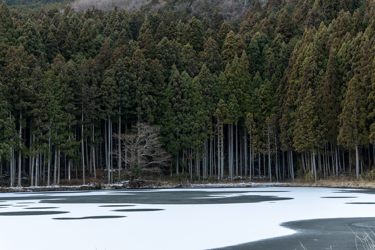 奈良県の絶景スポット。水面が凍った龍王ヶ淵が神秘の世界。