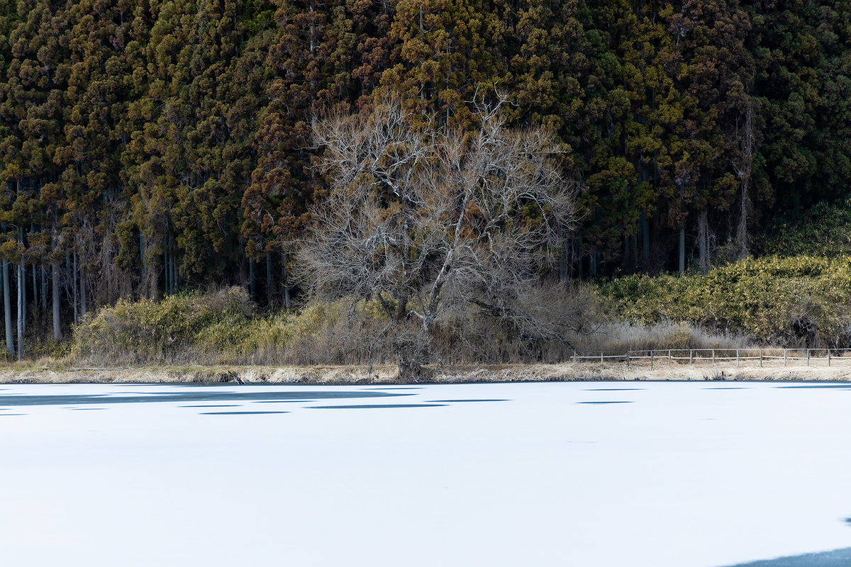 奈良県の絶景スポット。水面が凍った龍王ヶ淵が神秘の世界。