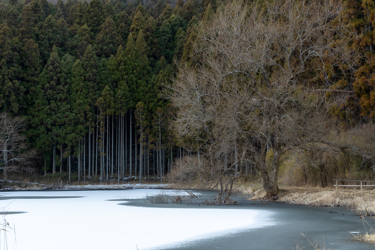 奈良県の絶景スポット。水面が凍った龍王ヶ淵が神秘の世界。