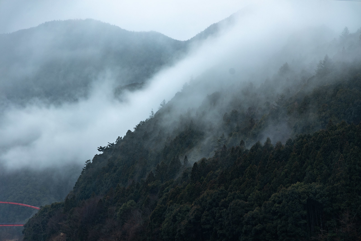 椿山レイクブリッジ