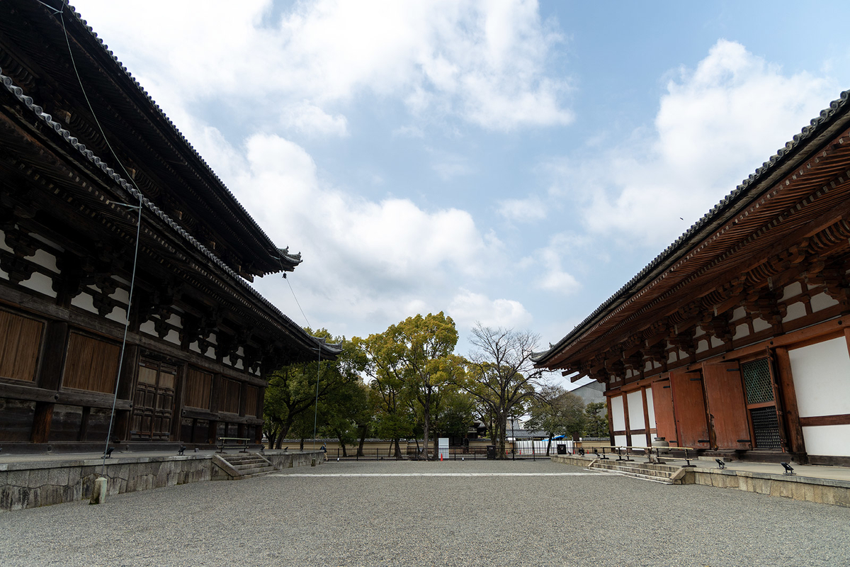 東寺