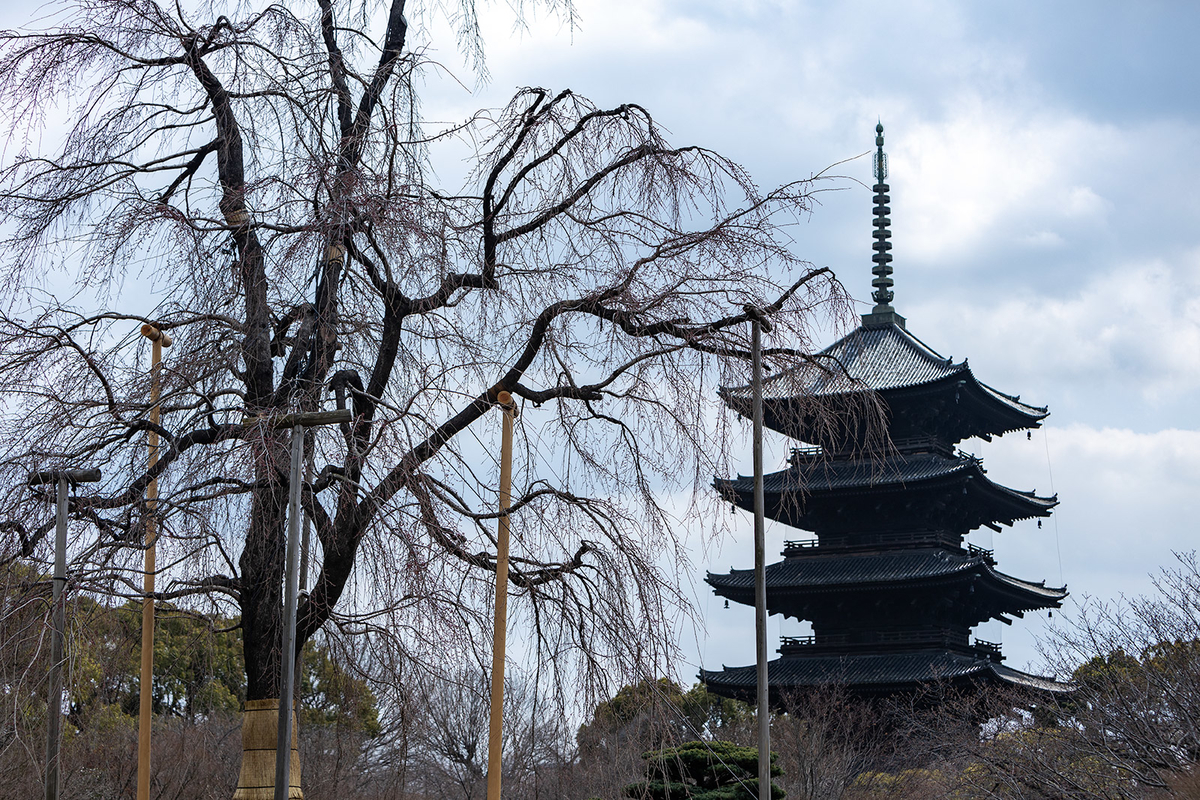 東寺