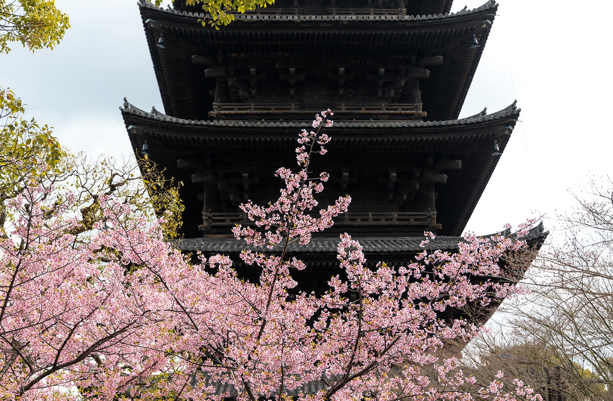 東寺