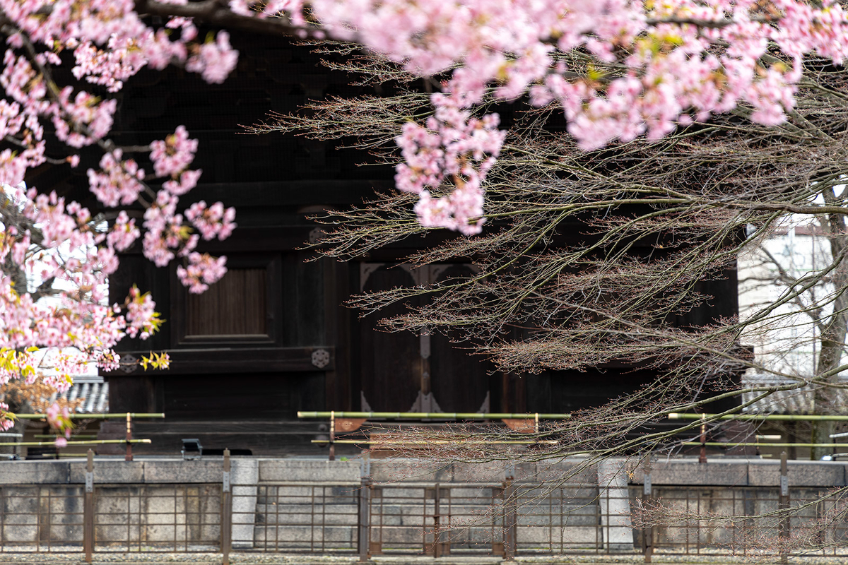 東寺