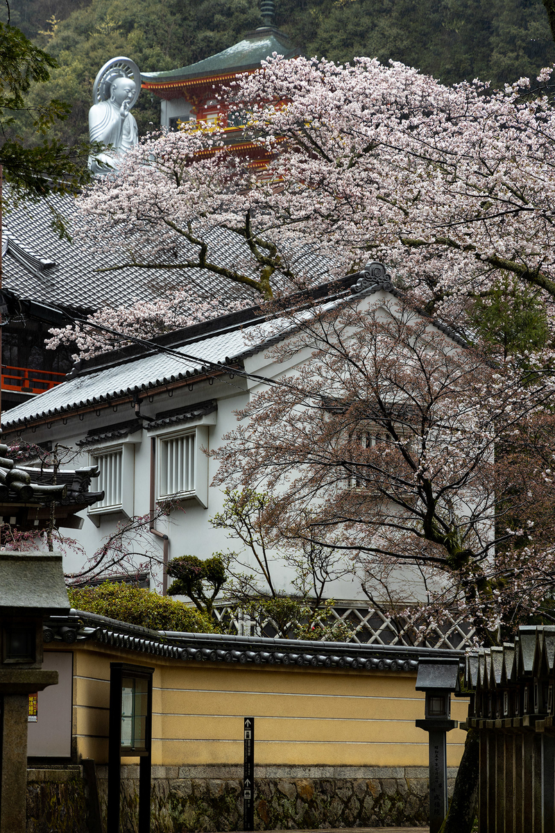 朝護孫子寺