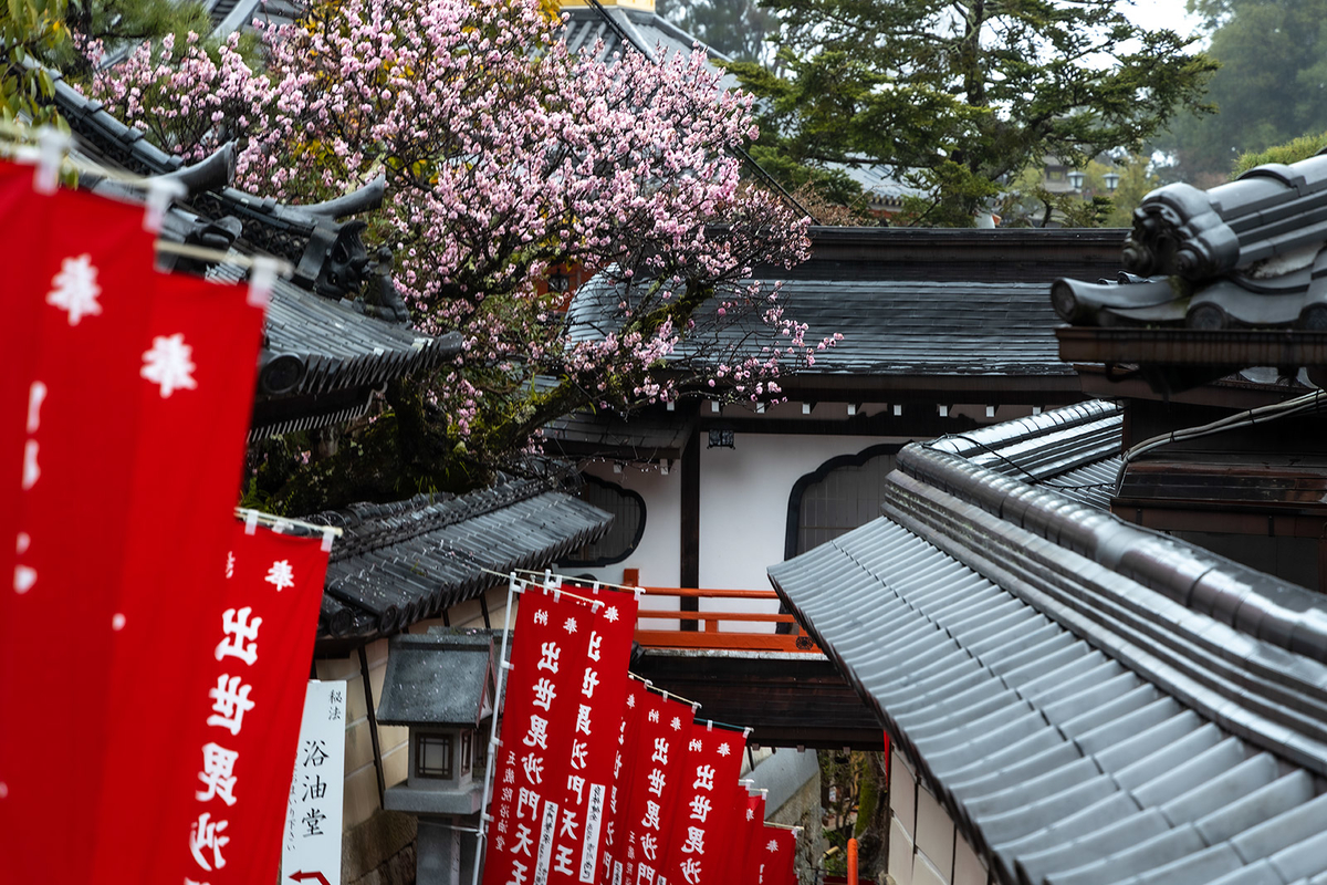 朝護孫子寺