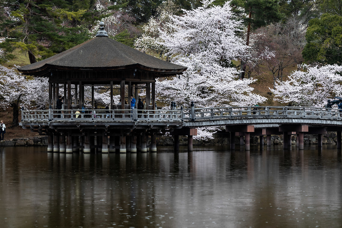 奈良公園　浮御堂