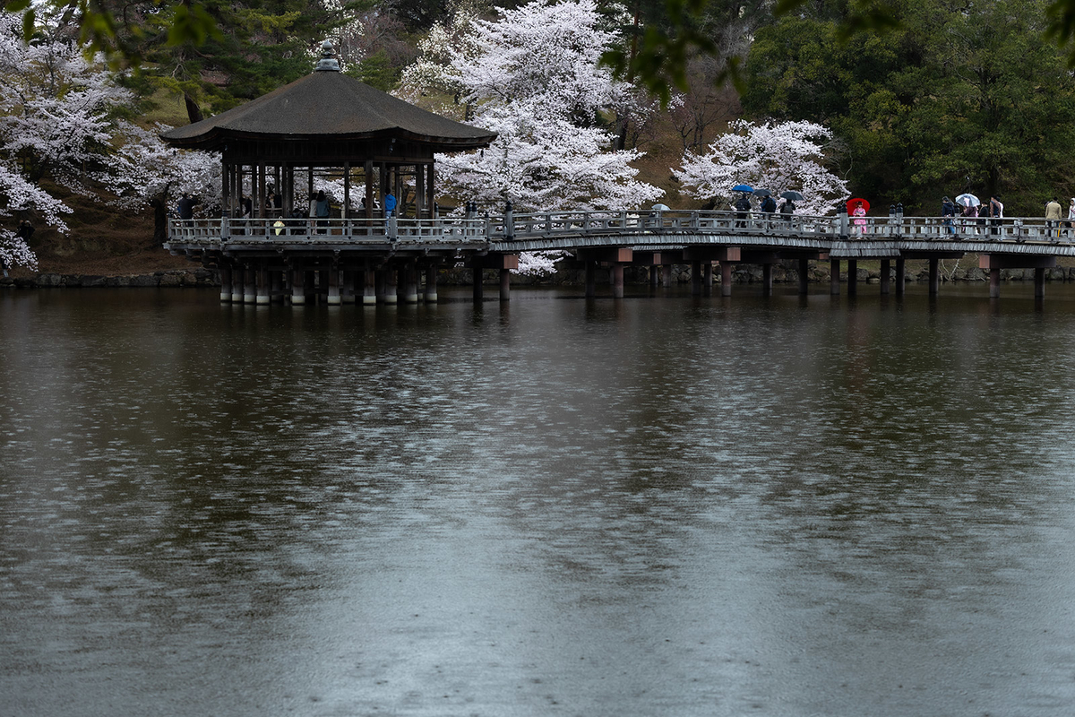 奈良公園　浮御堂