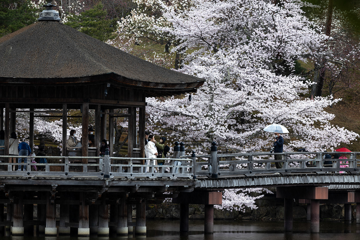 奈良公園　浮御堂