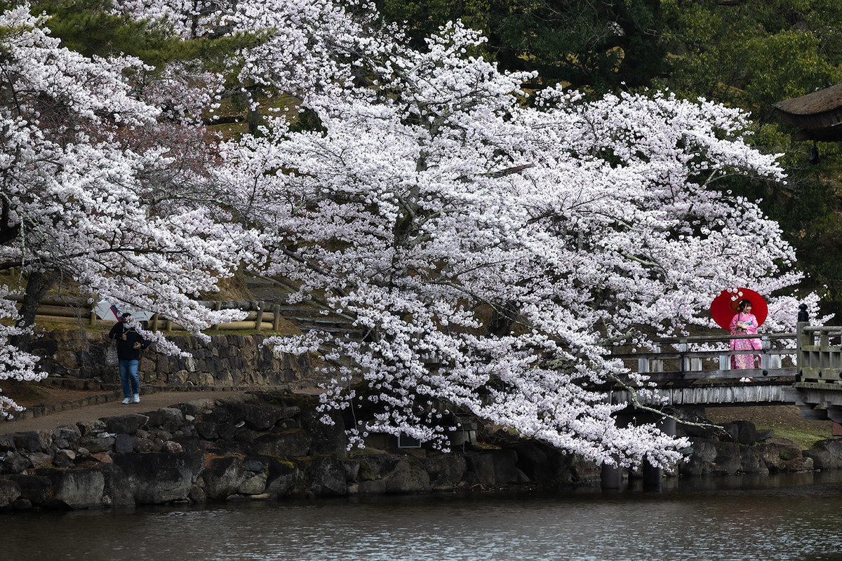 奈良公園　浮御堂