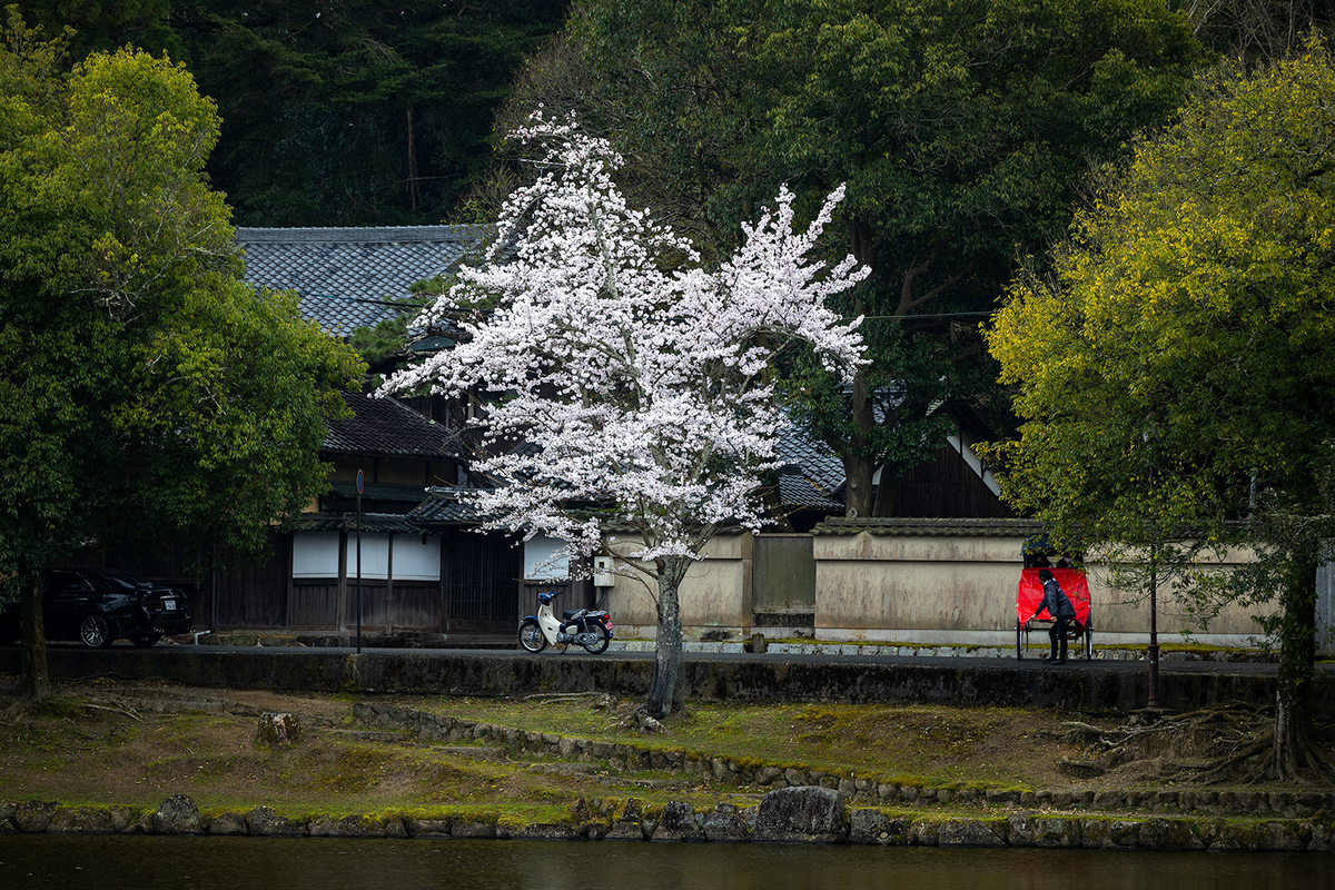 奈良公園　浮御堂