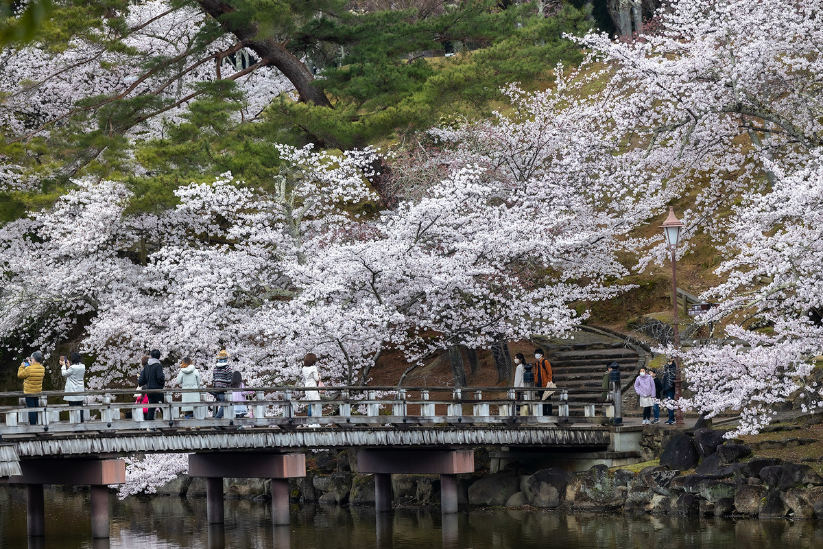 奈良公園