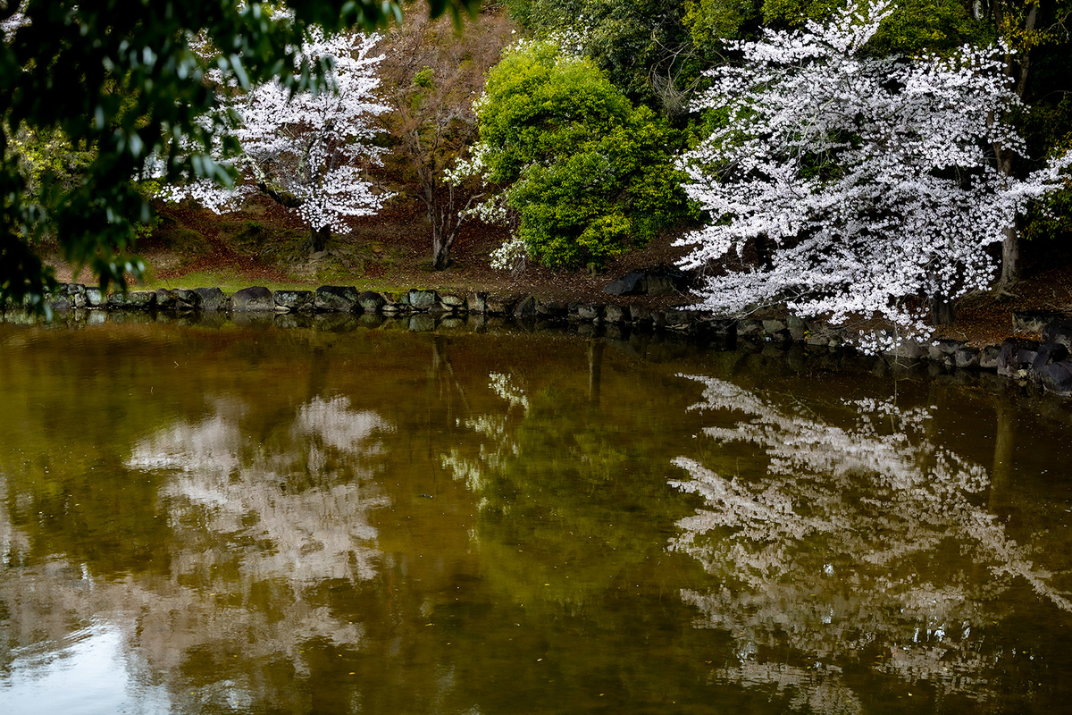 奈良公園