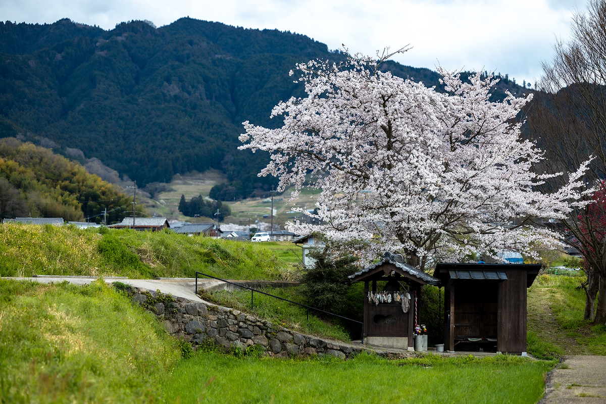 明日香村