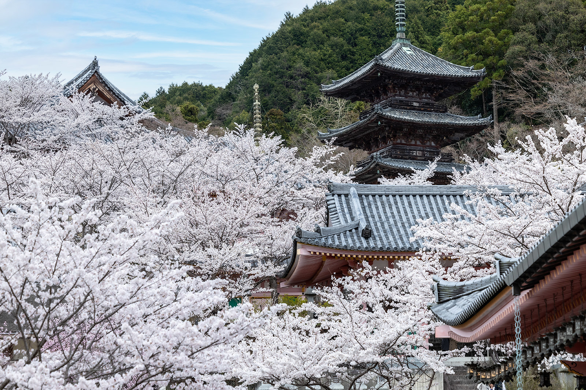 壷阪寺