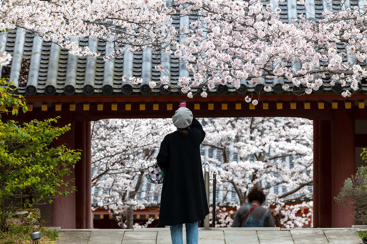 壷阪寺