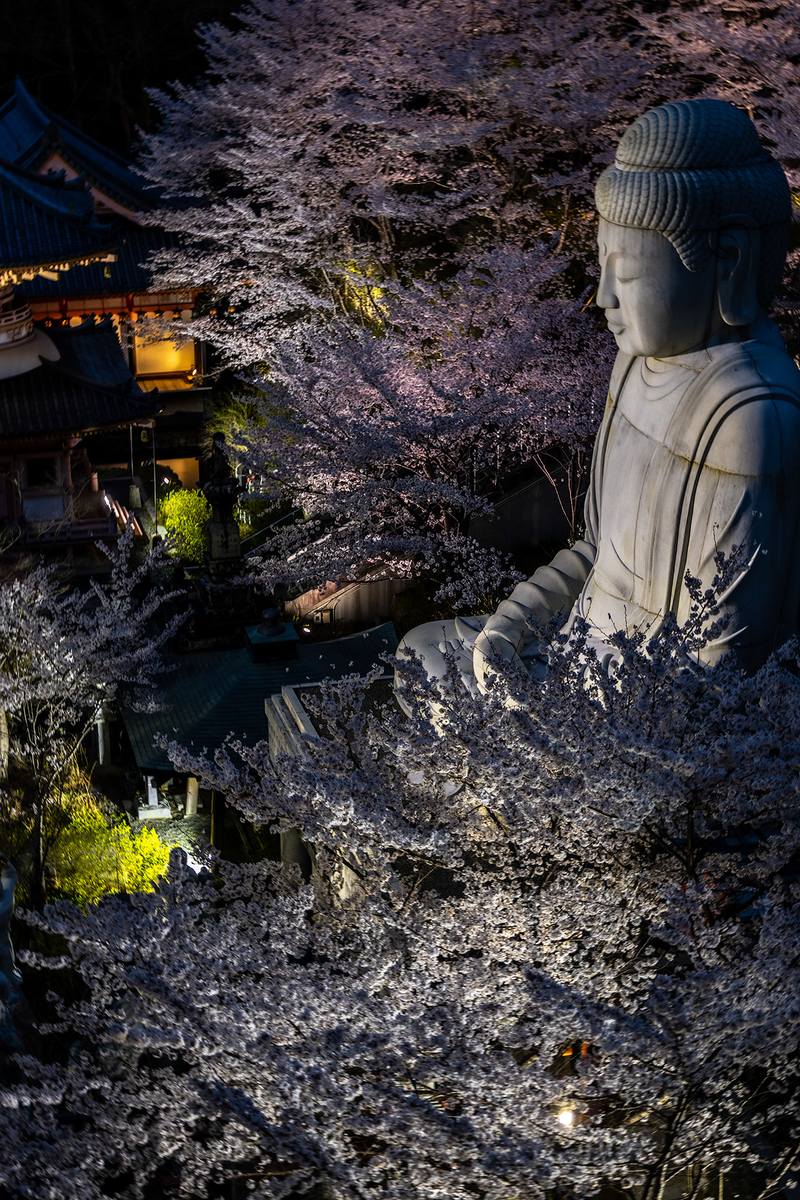 壷阪寺