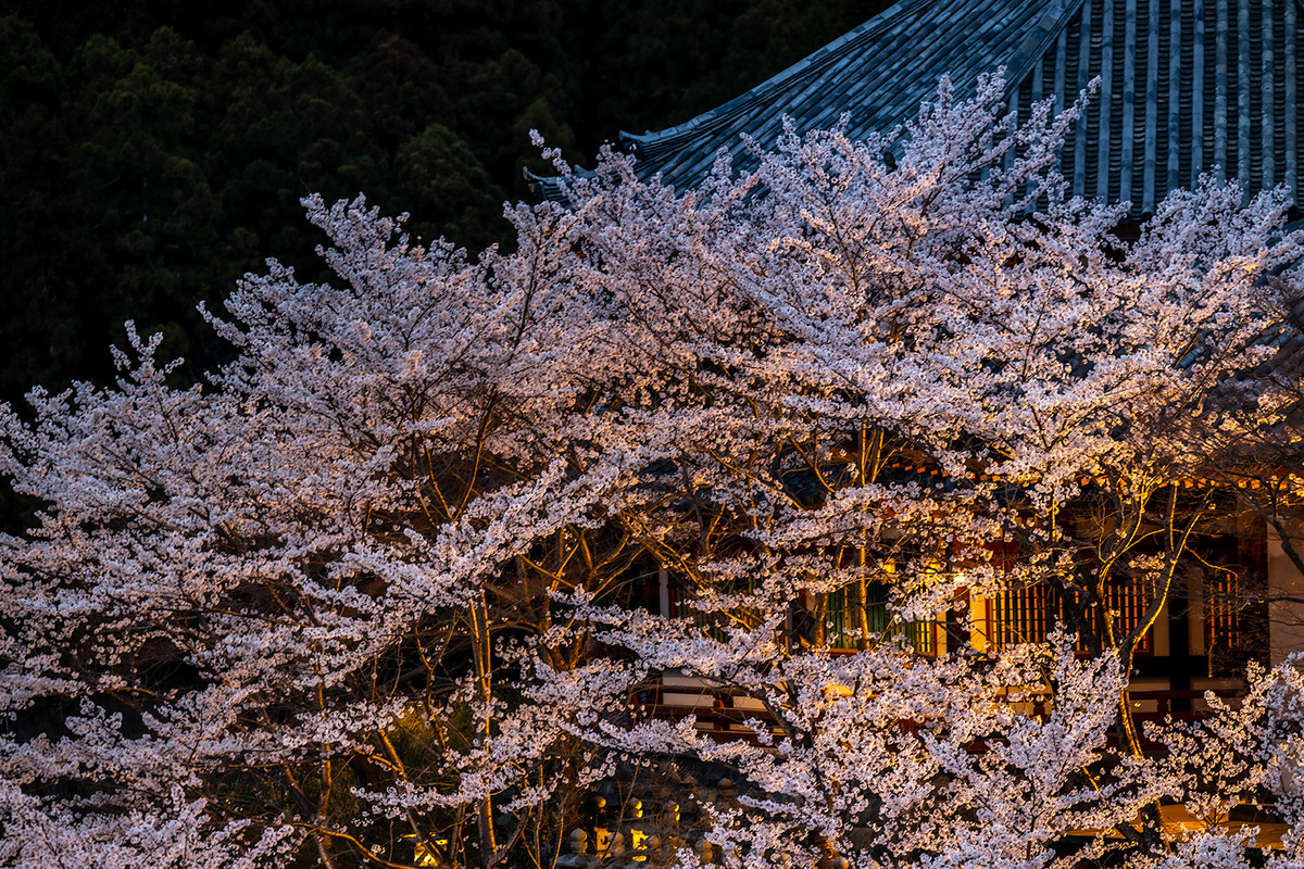 壷阪寺