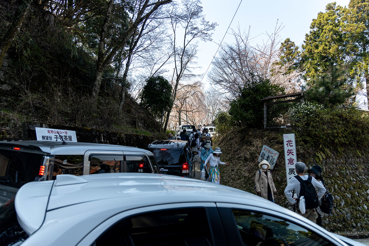 吉野の桜