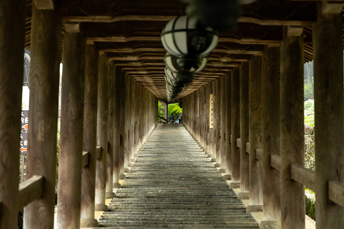 登廊