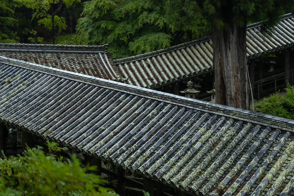 長谷寺