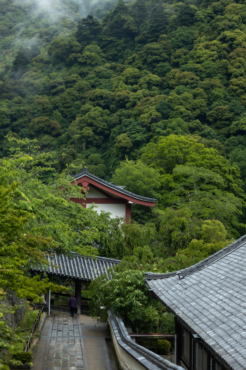 長谷寺