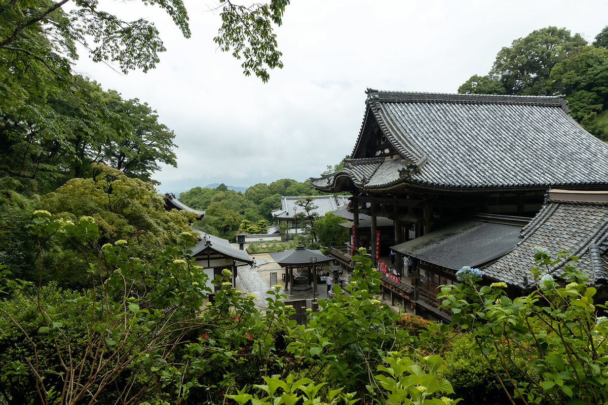 岡寺