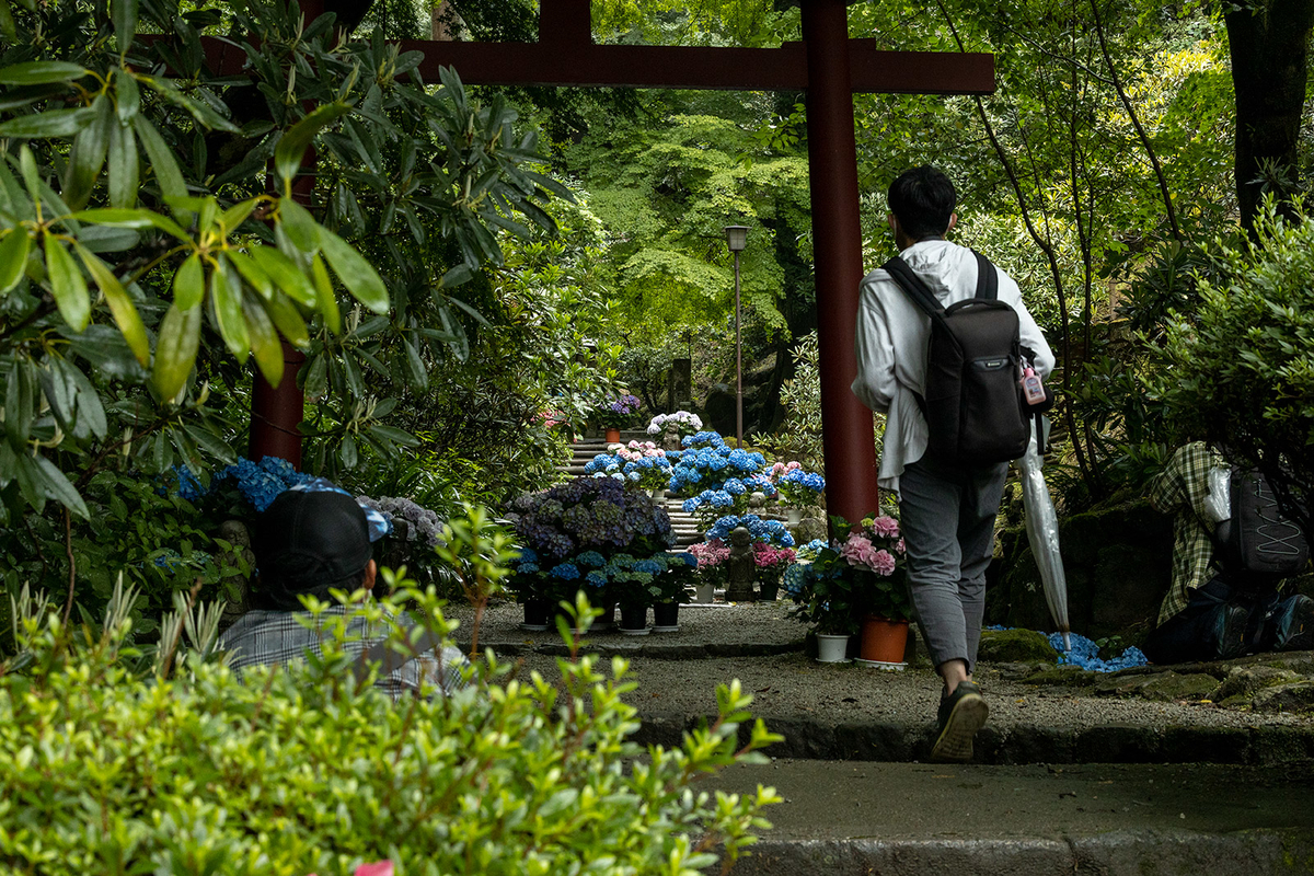 岡寺