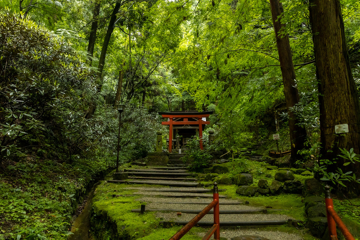 岡寺