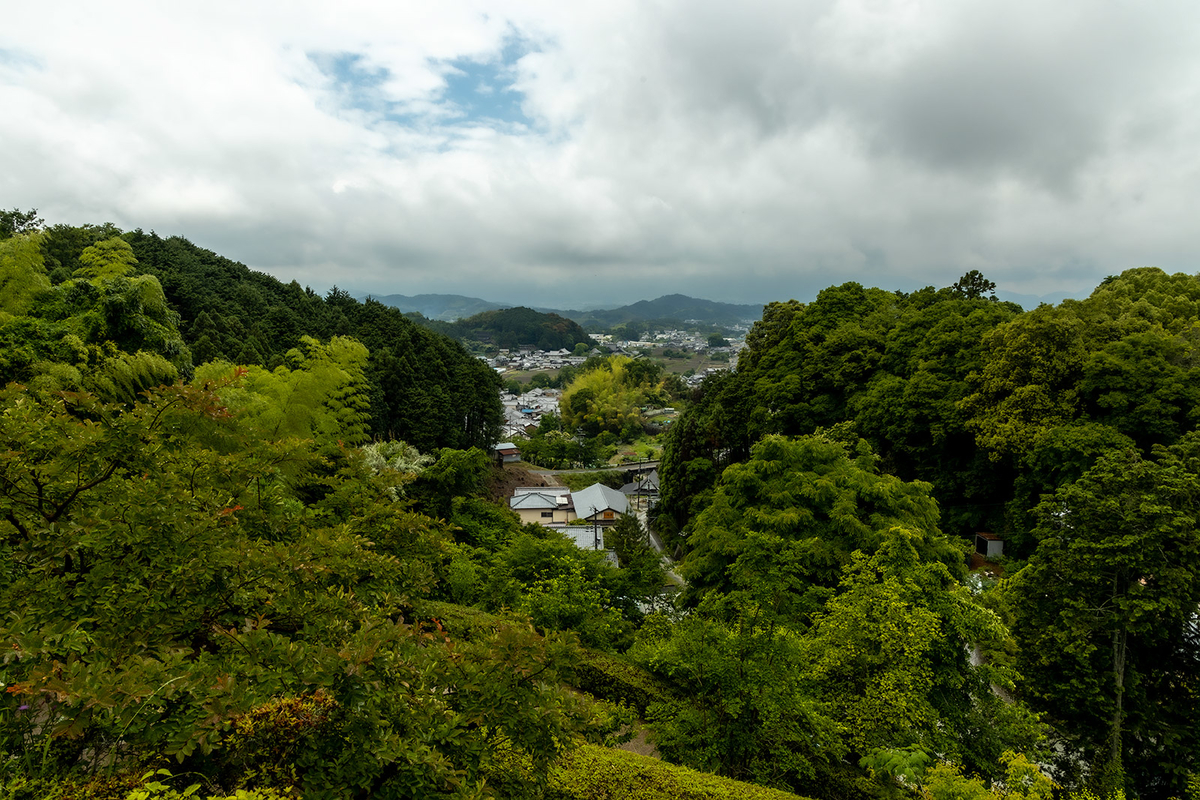 岡寺