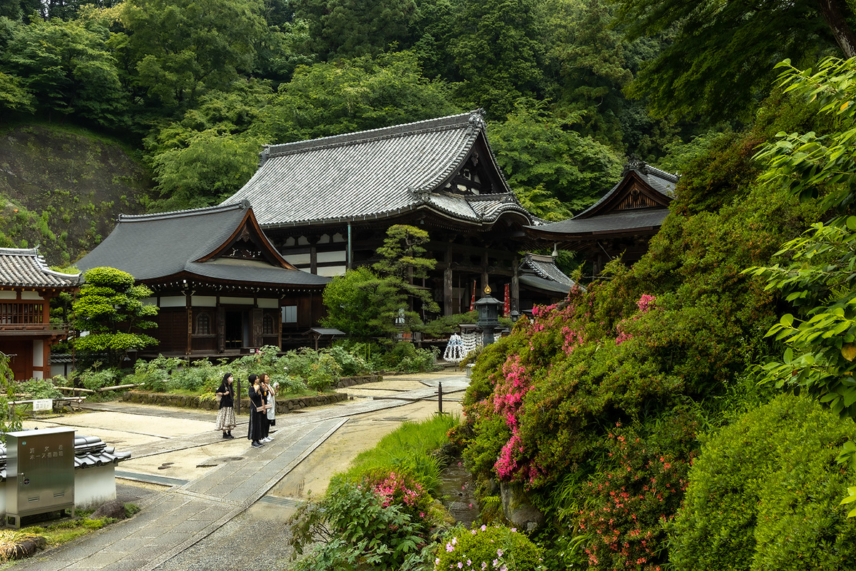 岡寺