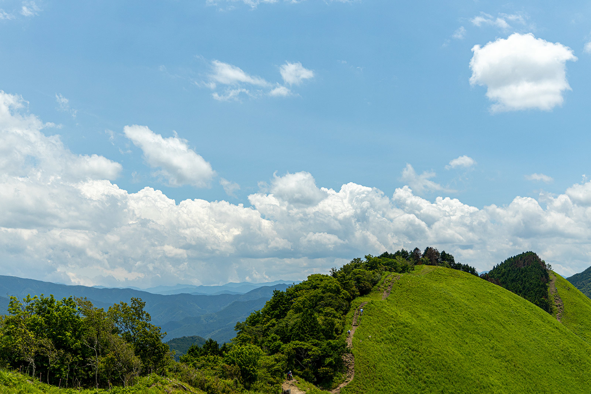 曽爾高原