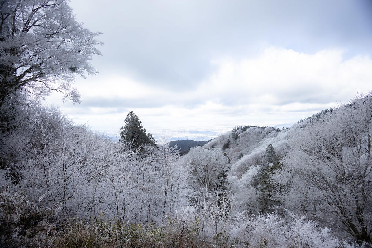 金剛山