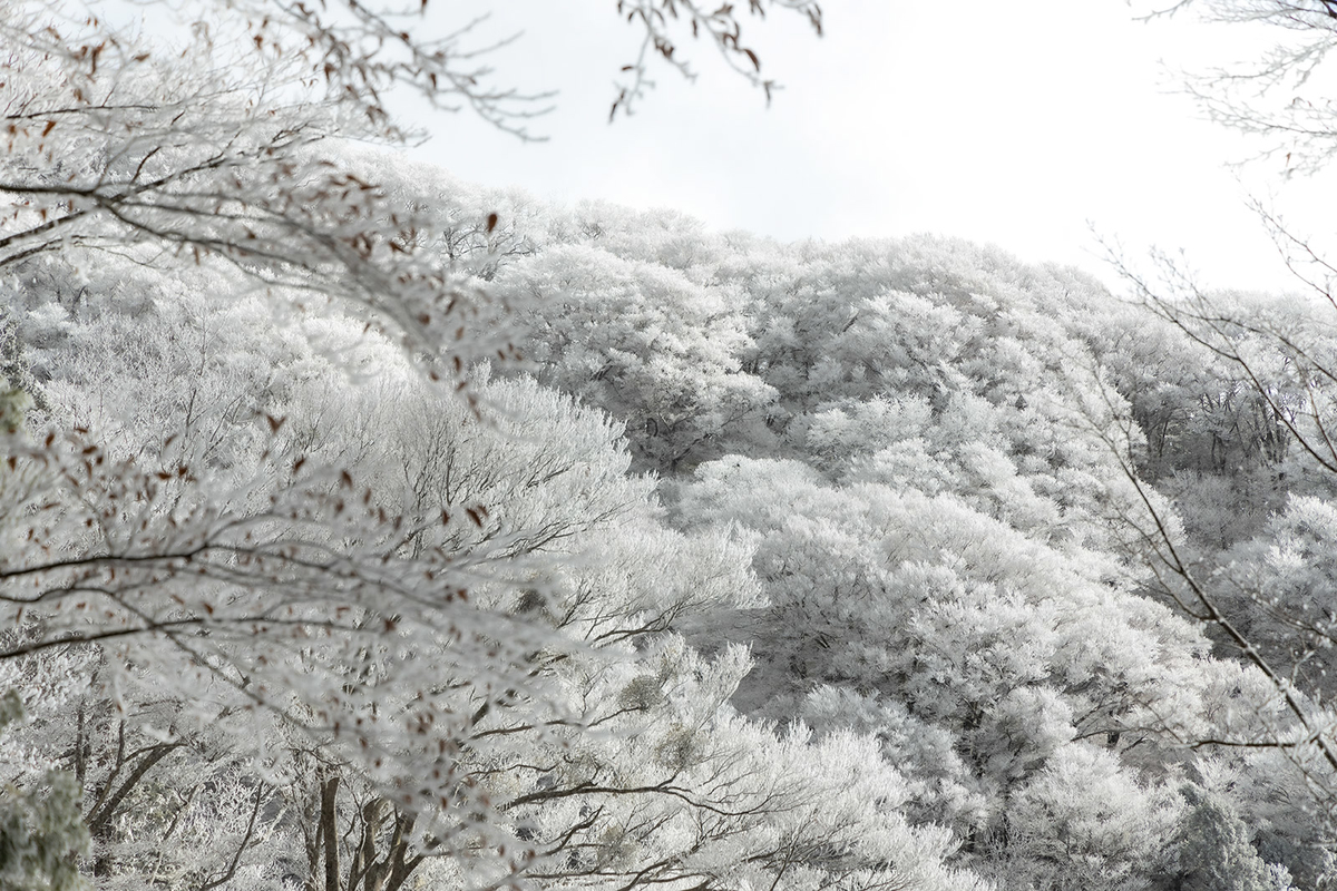 金剛山