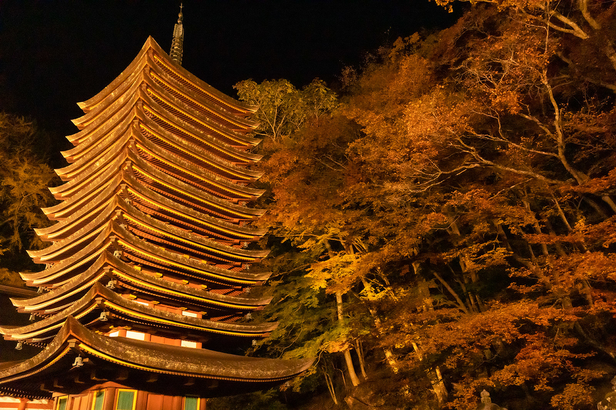 談山神社の紅葉のライトアップ