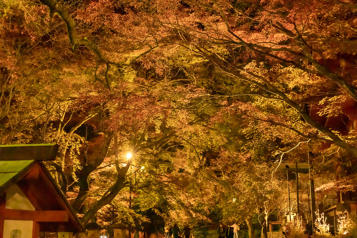 談山神社の紅葉のライトアップ