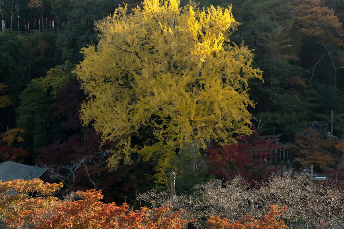 朝護孫子寺