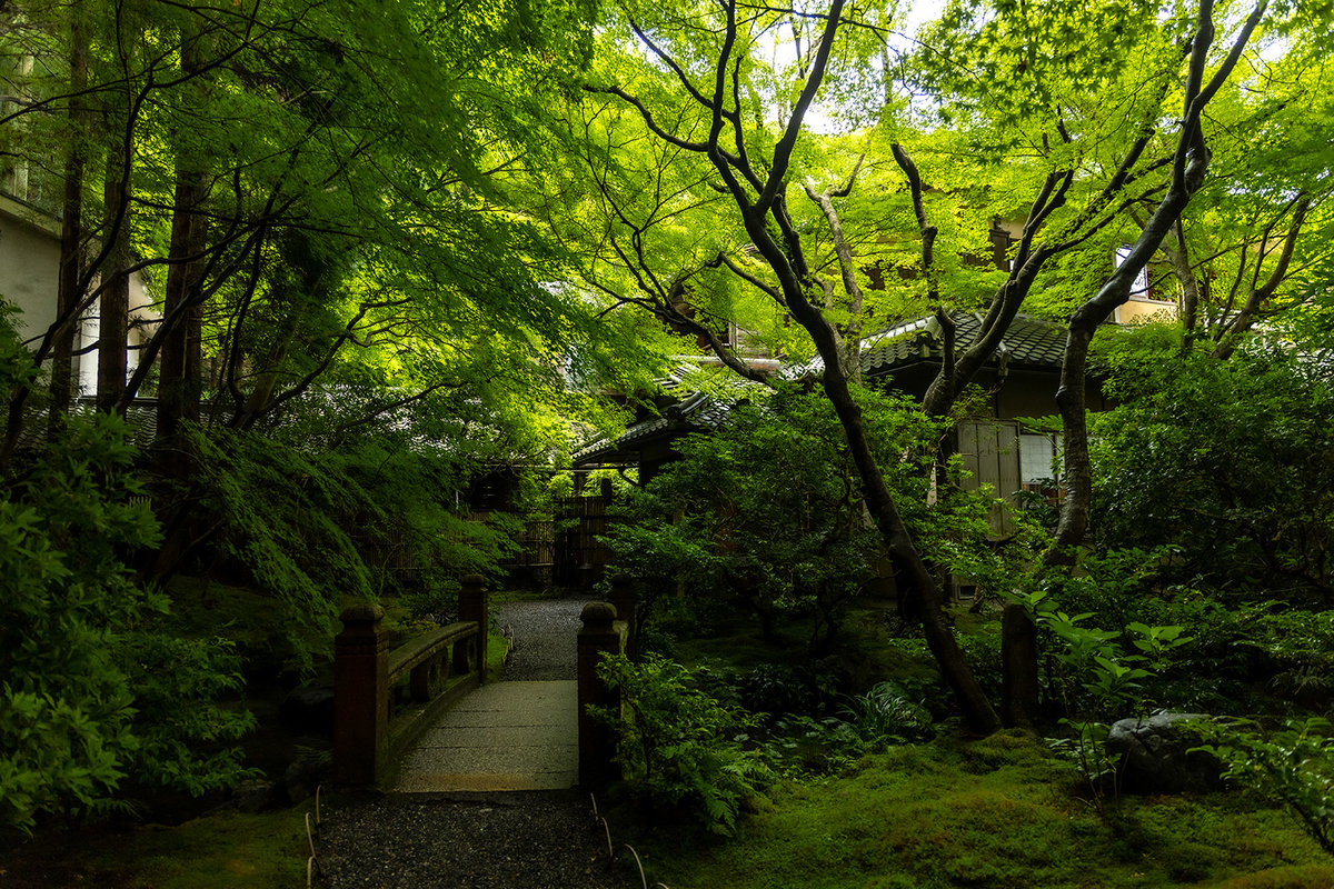 瑠璃光院