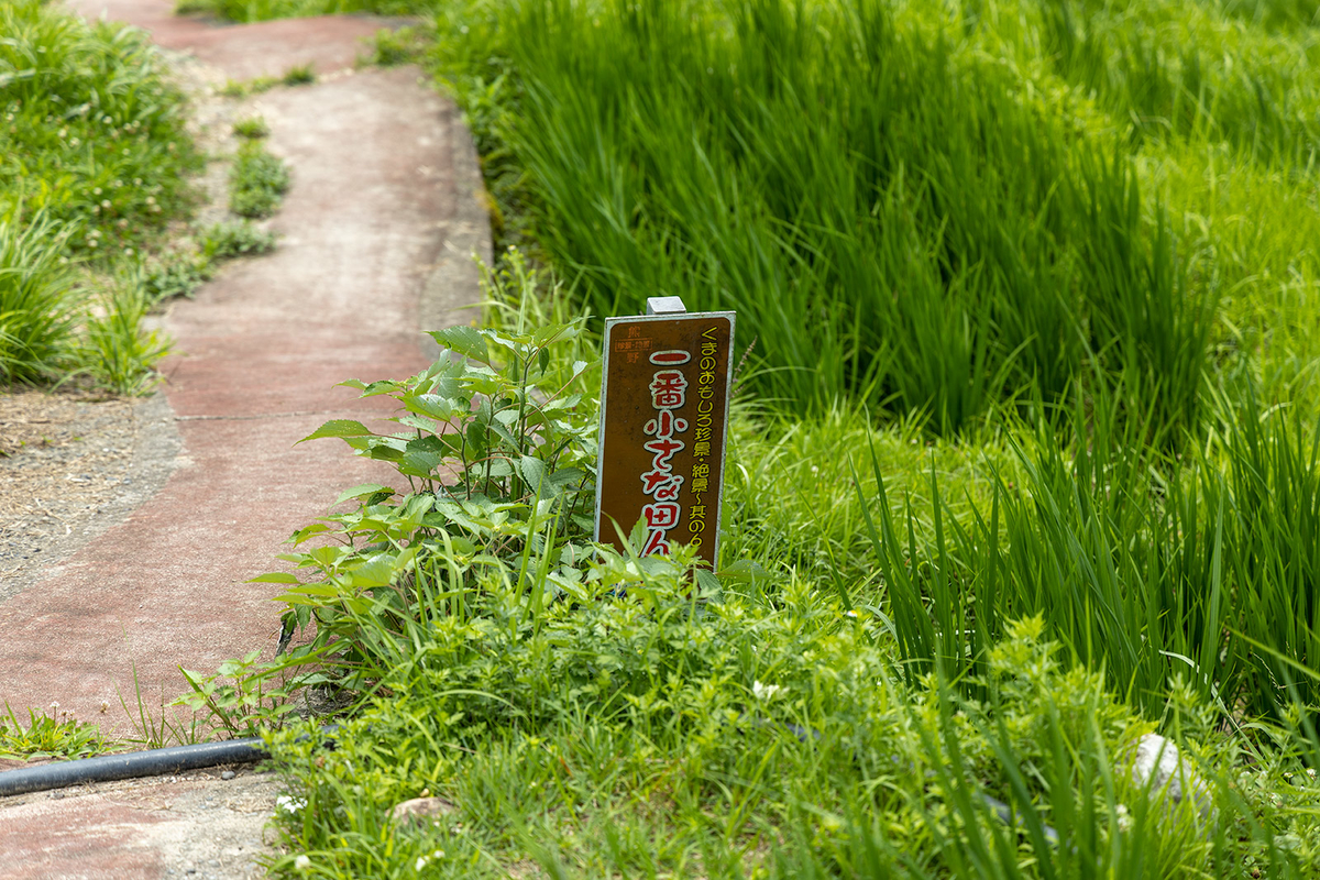 三重県の絶景スポット丸山千枚田