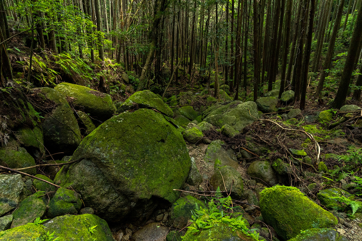 三重県の秘境の絶景スポットオハイ（大配）