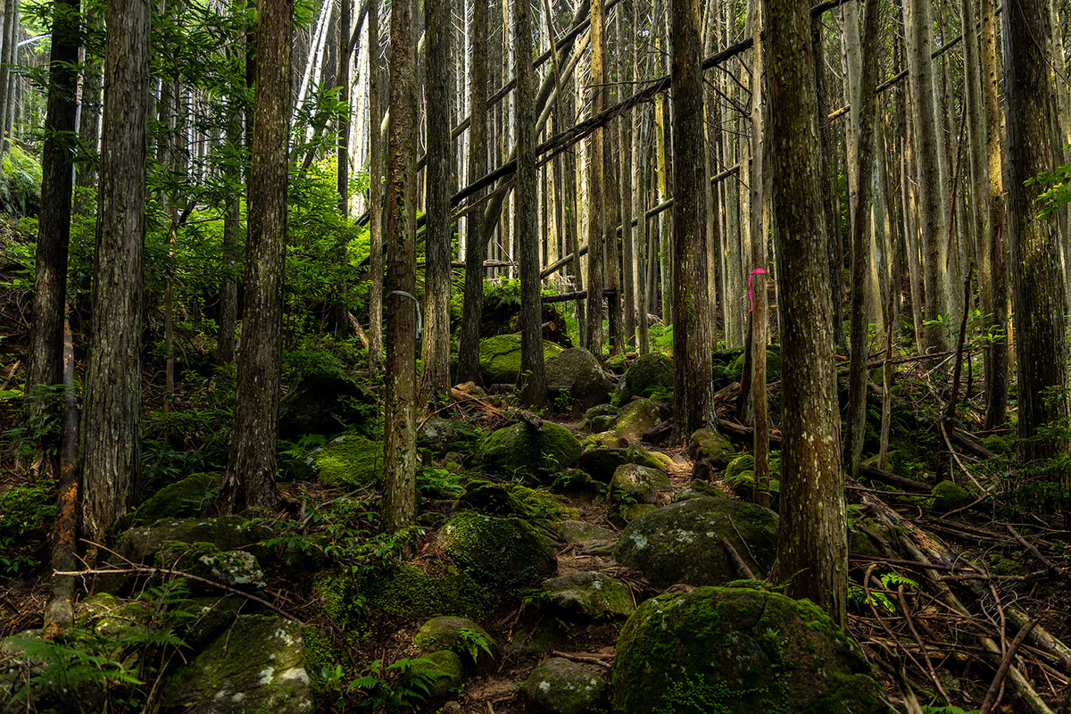 三重県の秘境の絶景スポットオハイ（大配）