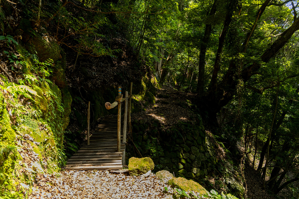 三重県の秘境の絶景スポットオハイ（大配）