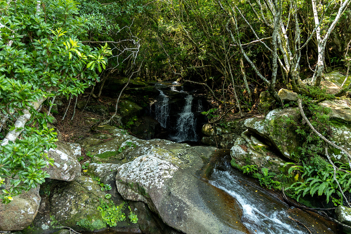 三重県の秘境の絶景スポットオハイ（大配）