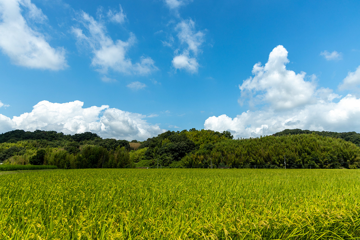 三木市黒滝